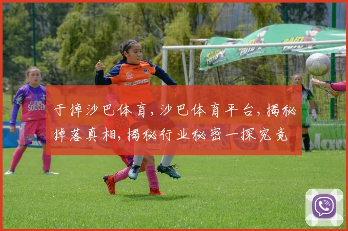 于掉沙巴体育,沙巴体育平台,揭秘掉落真相,揭秘行业秘密一探究竟