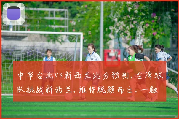 中华台北vs新西兰比分预测,台湾球队挑战新西兰,谁将脱颖而出,一触即发