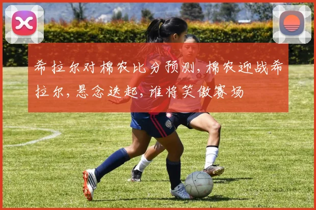 希拉尔对棉农比分预测,棉农迎战希拉尔,悬念迭起,谁将笑傲赛场