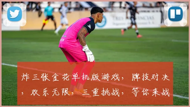 炸三张金花单机版游戏，牌技对决，欢乐无限，三重挑战，等你来战