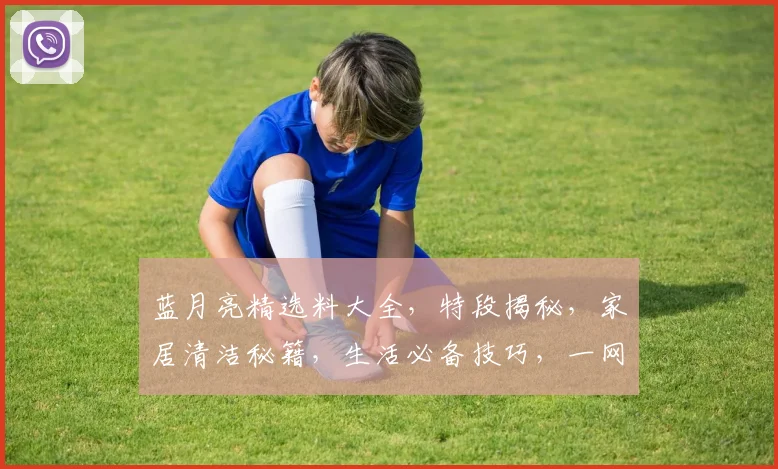 蓝月亮精选料大全，特段揭秘，家居清洁秘籍，生活必备技巧，一网打尽